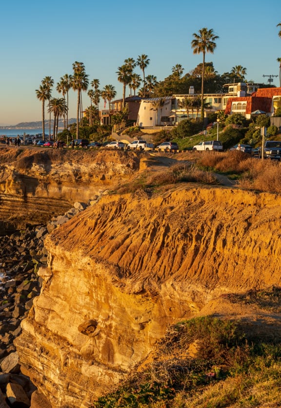 Pet-Friendly at Pointe Luxe Apartments in San Diego, CA