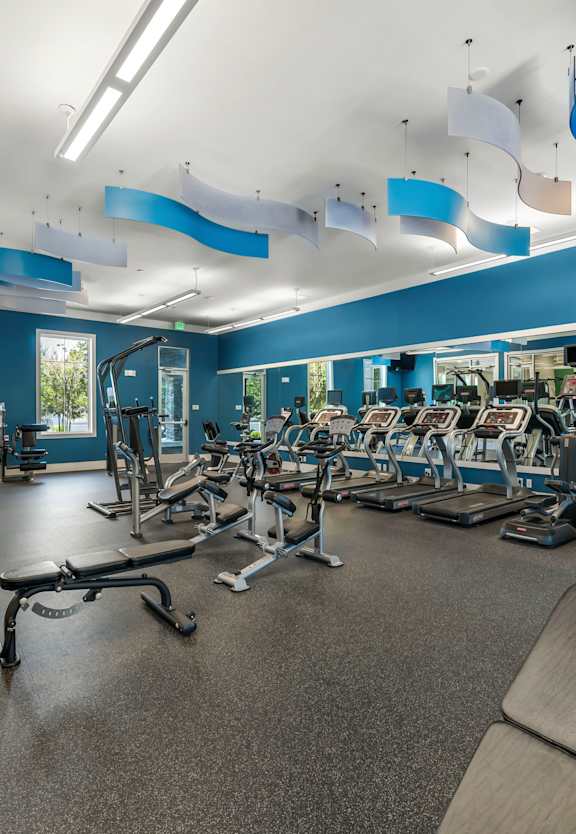 a gym with cardio equipment and exercise machines at Village at Terra Bella Apartments, Land O' Lakes, Florida