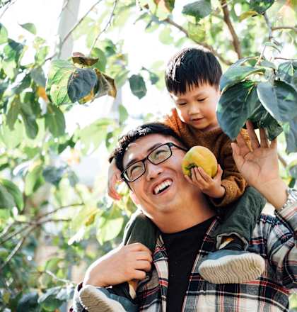 A man in a plaid shirt is holding a child and a lemon in a tree.