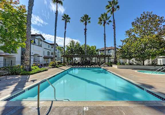 A swimming pool surrounded by palm trees and a white building.