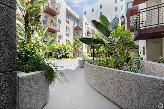 a view of a building with plants in front of it