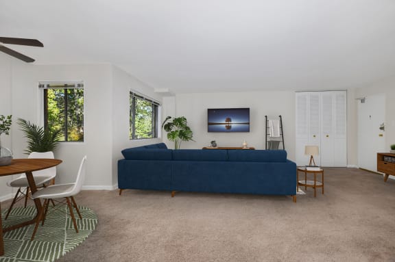 a living room with a blue couch and a rug