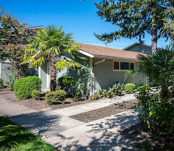 A house with a driveway and a tree in front.
