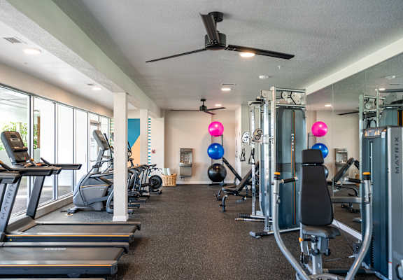 A gym with treadmills, exercise balls, and weight machines.