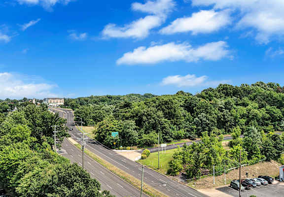 A road with cars and trees on both sides.