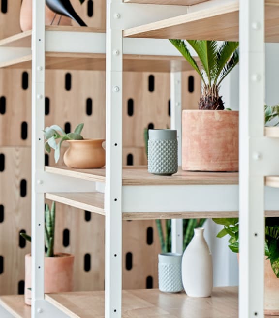 Close Up View of Wooden Shelving Unit with Plants