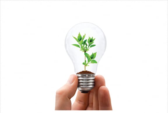 Sustainability