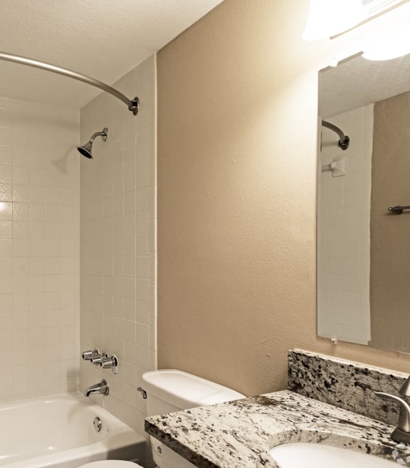 a bathroom with a tub and a sink and a toilet