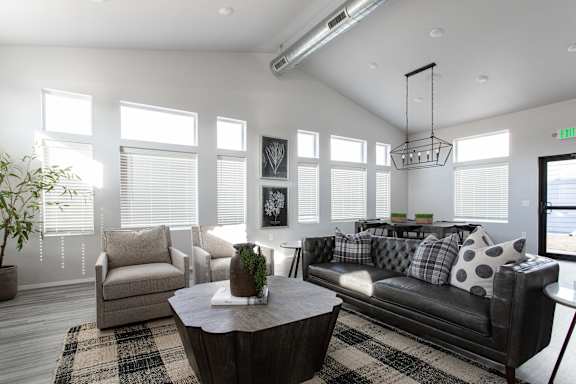 A living room with a black couch, a coffee table, and a potted plant.