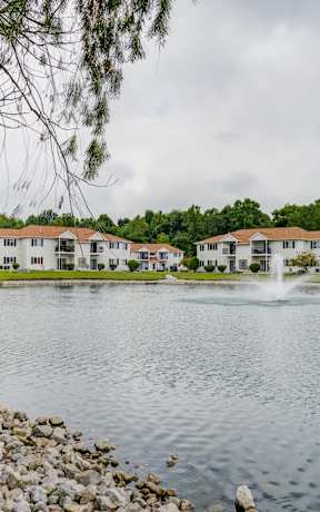 a pond with a fountain in front of houses