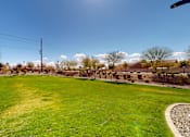 Thumbnail 5 of 6 - A grassy field with a few scattered trees and a clear blue sky.