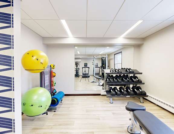 A gym with a variety of equipment including dumbbells, a bench, and a ball.