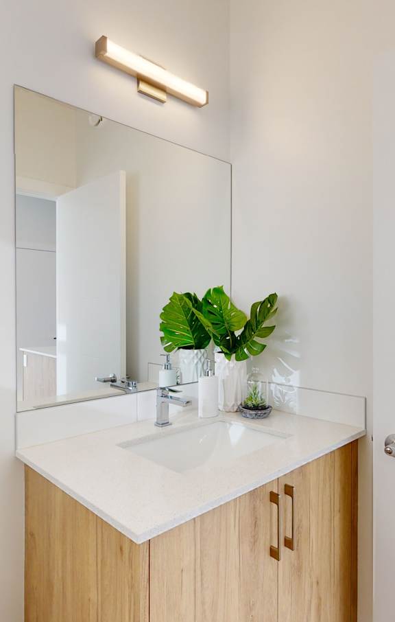 A bathroom with a white countertop and a plant on it.