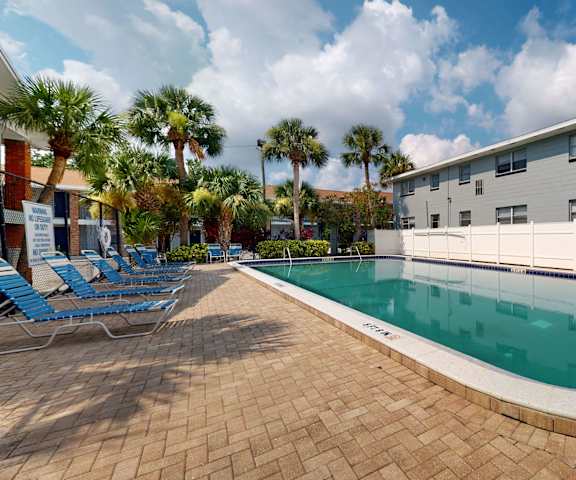 outdoor pool with lounge chairs and palm trees