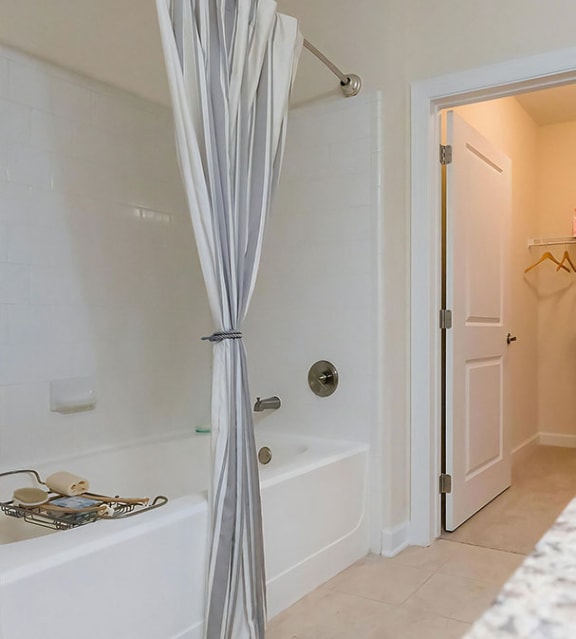 Roman Soaking Tub and Walk In Closet