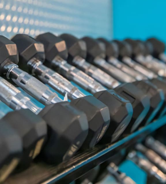 24 Hr Fitness Center with Free Weights