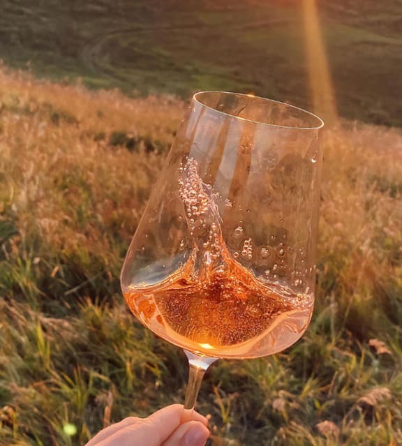 North Carolina Wine Festival