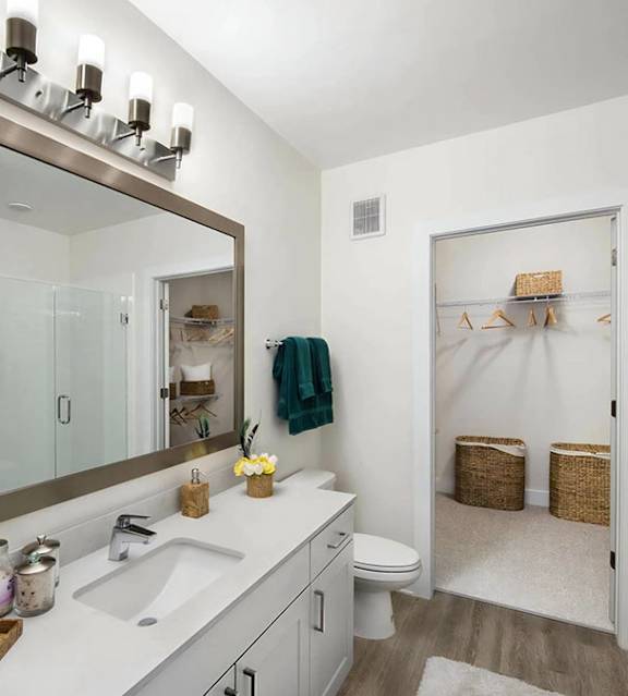 Bathroom with a framed mirror, quartz counter, and glass shower door, opening to an oversized closet with shelving.