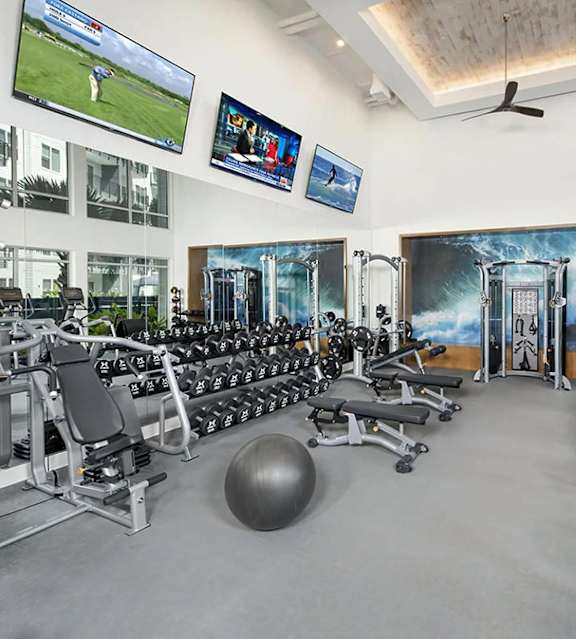 Free weight area with a dumbbell rack, adjustable benches, a functional trainer, and wave murals along the wall.