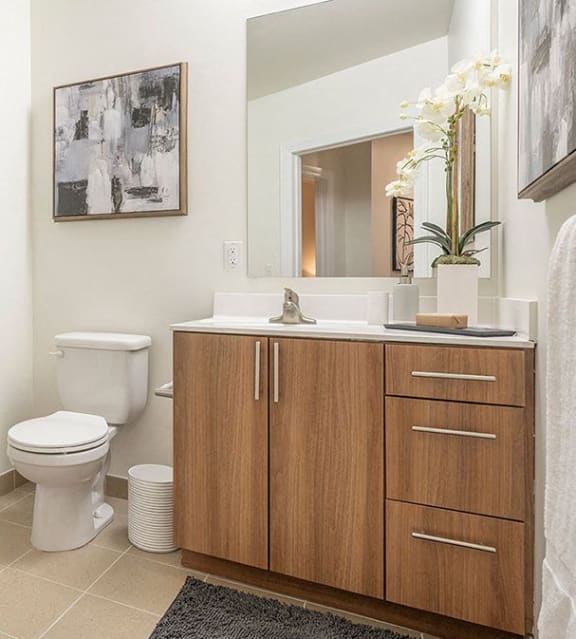 Arlington 360 Apartments Bathroom Luxurious Bathrooms with Large Showers