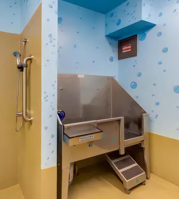 Ballard Lofts Community Amenities Dog Wash