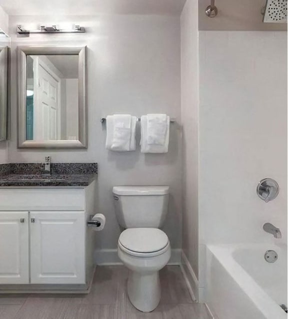 Luxury Bathrooms with Oversized Soaking Tubs