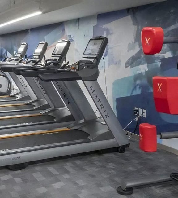 Studio with Cardio Machines