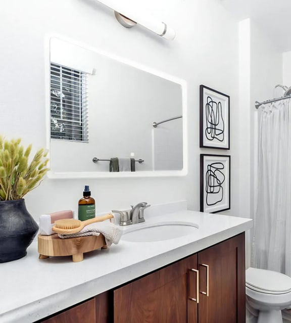 Single Vanity with Extra Counter Space
