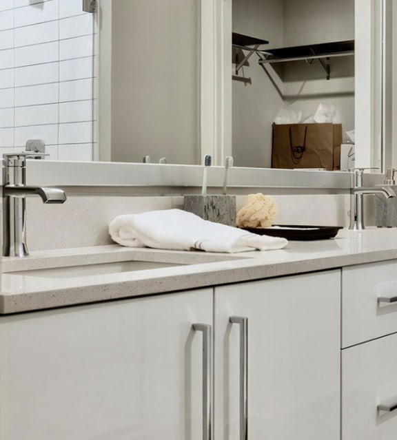 Double Vanity Sinks with Cabinet Storage