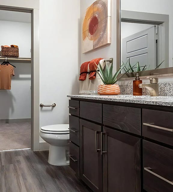 Walk In Closet Through Bathroom