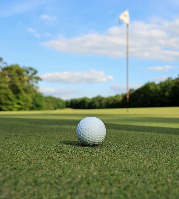 Play A Round At Franklin Bridge Golf Course