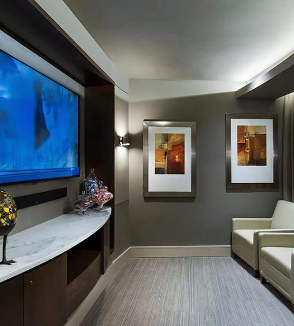 Private Screening Room