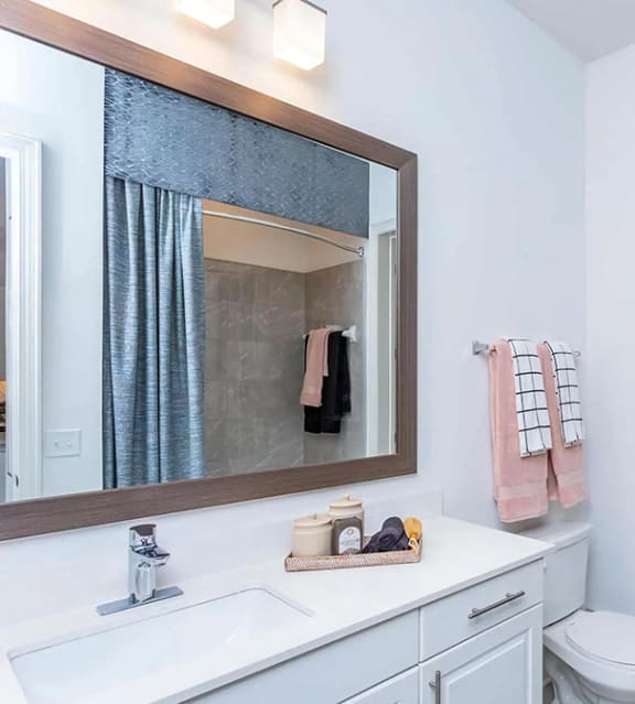 Walk In Closet Attached to Bathroom