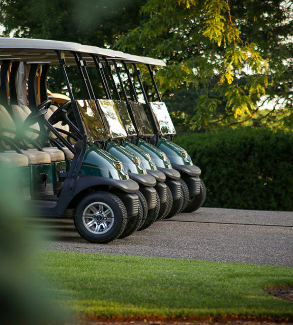 a row of golf carts parked in the grass