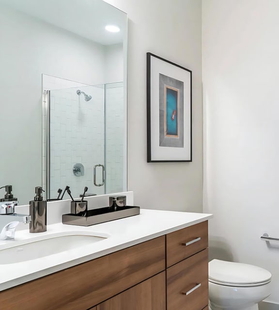 Stylish Shower with Glass Door