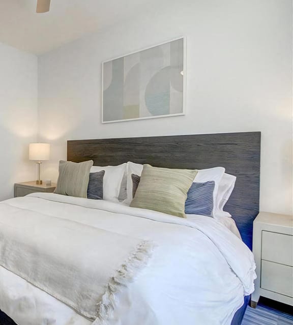 Oversized Bedroom With Large Walk In Closet