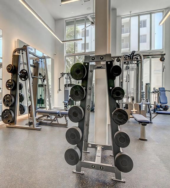 Full Fitness Studio with Weights