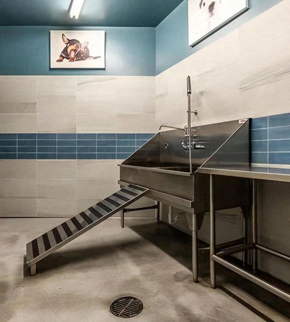 Pet Grooming Station and Spa for Pets