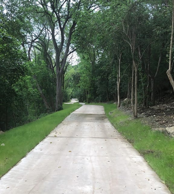 a dirt road with trees on the side of it