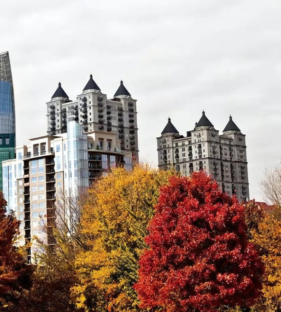Fall Colors in Midtown Atlanta