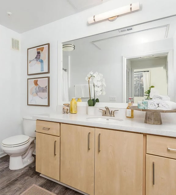 PetFriendly Apartments in Rancho Cucamonga, CA Amenities