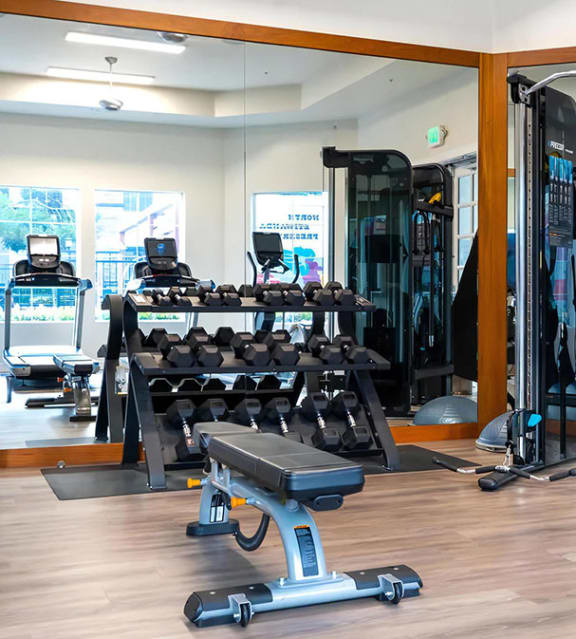 24 Hour Fitness Center with Free Weights
