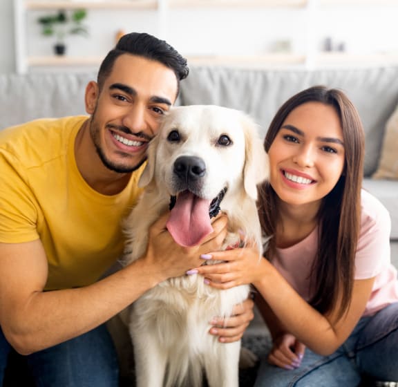 a man and woman sitting on a couch with a dog