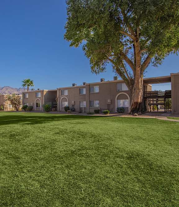 A large grassy area in front of apartment buildings with palm trees.
