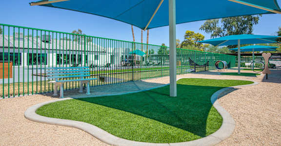 a picnic area with blue umbrellas and green grass