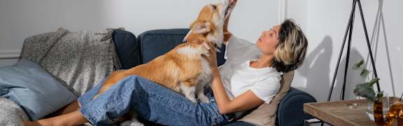 A woman and a man are petting a black and tan dog.