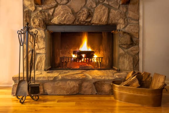 Wood Burning Fire Place