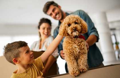 A man is holding a small brown dog while a young boy reaches out to pet it.