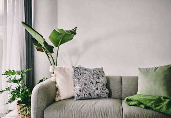 a couch with pillows and a plant in a room