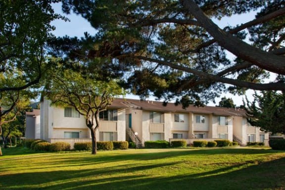 Green View From Balcony at Oceanwood Apartments, Lompoc